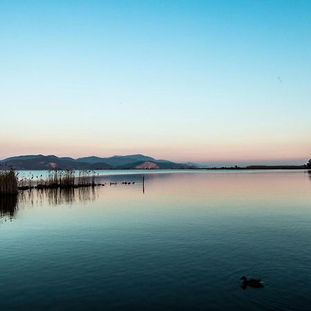 Hotel Butterfly Torre del Lago Puccini Exteriör bild