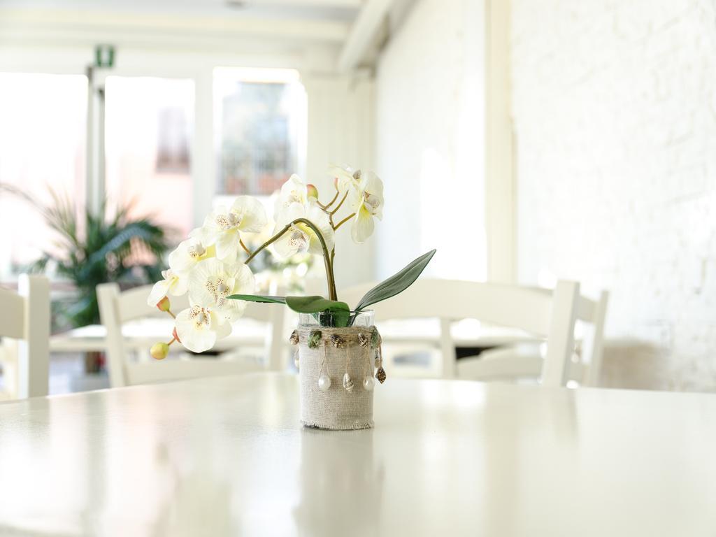 Hotel Butterfly Torre del Lago Puccini Rum bild